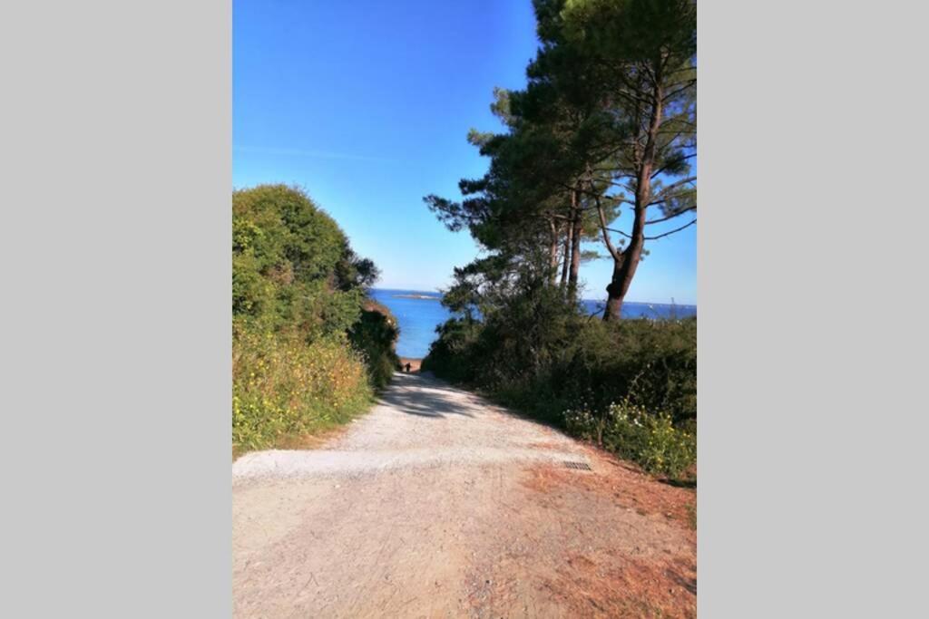 Villa Bord De Mer Avec Piscine Et Jacuzzi Penestin Bagian luar foto